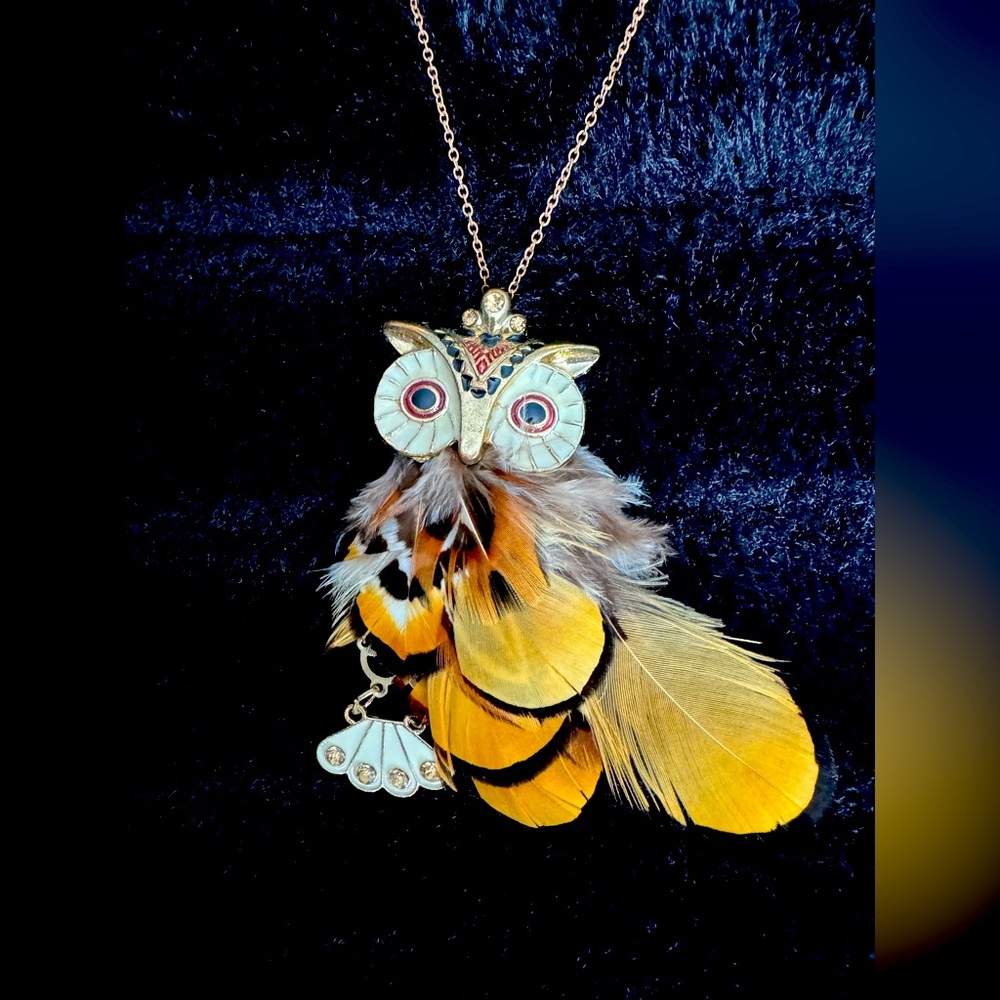 Long necklace- owl with feather details